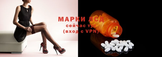PSILOCYBIN Всеволожск