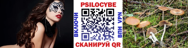 Псилоцибиновые грибы Cubensis  Липки 